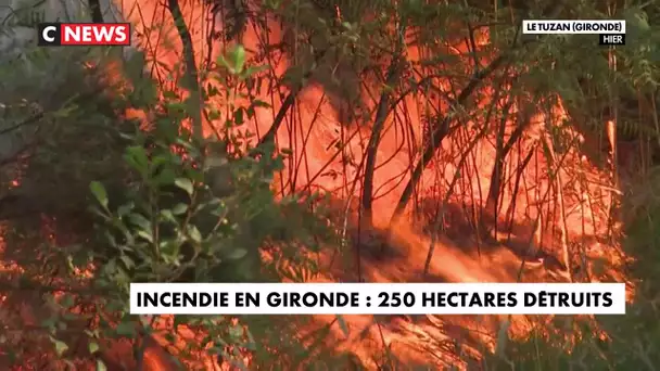 Incendie en Gironde : 250 hectares détruits, le feu maîtrisé