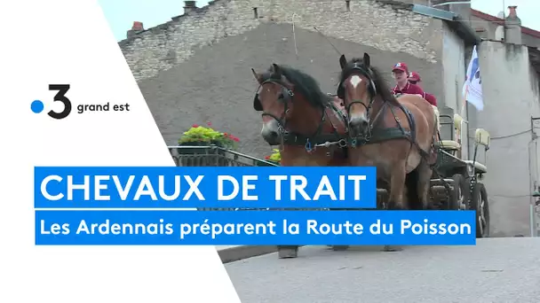 Les Ardennais préparent la Route du Poisson au Haras national de Rosières aux Salines