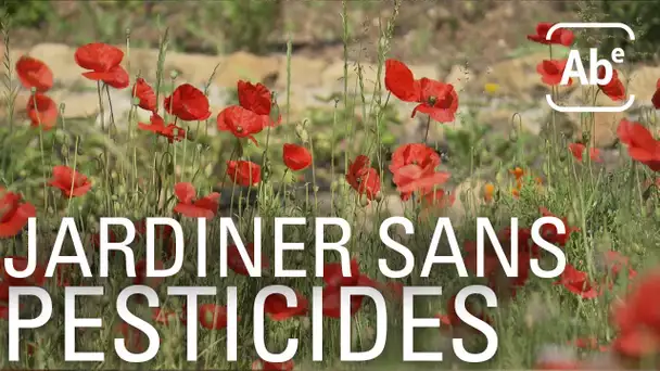 Jardiner sans pesticides. ABE-RTS