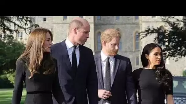 Le prince Harry et William ont conseillé de tenir des pourparlers de paix sans Meghan et Kate