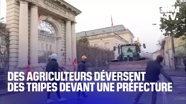 Des agriculteurs en colère déversent des tripes et du lisier devant la préfecture d'Agen