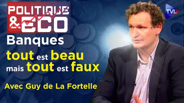 Crise bancaire : "quoi qu'il en coûte", le retour - Politique & Eco n°383 avec Guy de La Fortelle