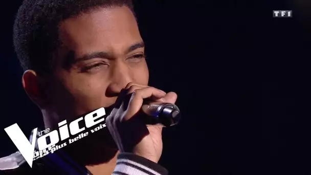 Céline Dion - Starmania - Ziggy | Shaun | The Voice 2019 | Blind Audition