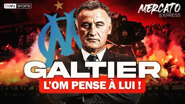 Mercato Express : L'OM pense à Christophe Galtier !