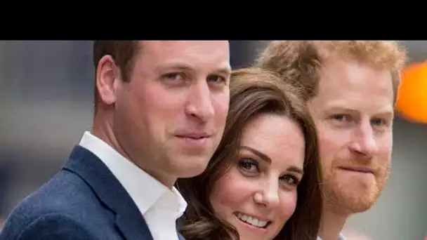 Kate Middleton et prince William déçus, le prince Harry déconstruit et transformé