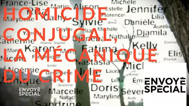 Envoyé spécial. Homicide conjugal, la mécanique du crime - 5 avril 2018 (France 2)