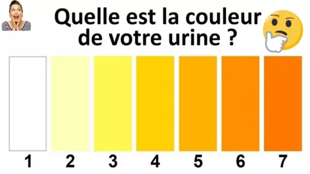 La couleur de votre urine indique votre état de santé, qu’il soit bon ou mauvais
