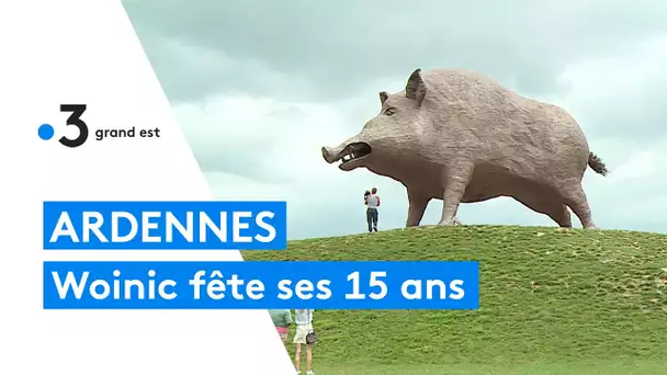 Woinic, le sanglier des Ardennes, fête ses 15 ans