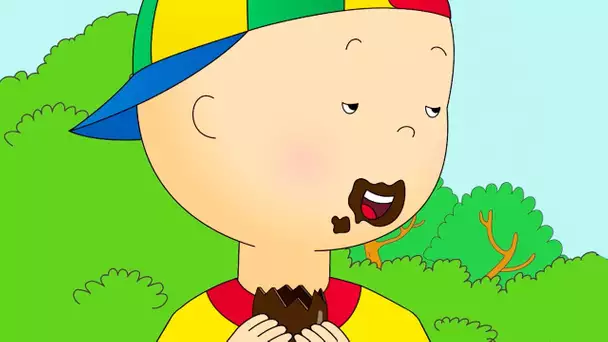 Caillou en Français | Caillou Mange du Chocolat | dessin animé | dessin animé pour bébé | NOUVEAU