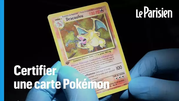 Cartes Pokémon : dans l’antre des experts qui certifient vos «Dracaufeu»