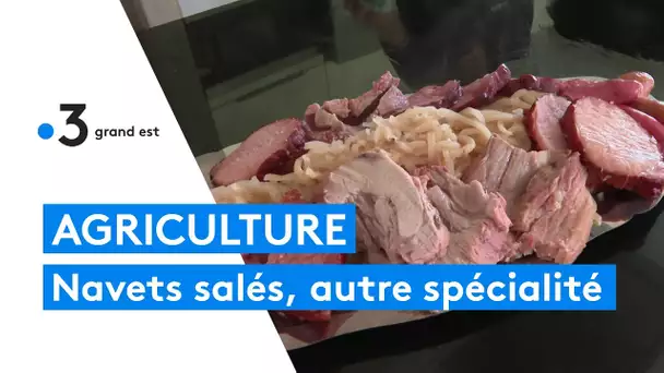 Seconde jeunesse pour les navets salés (ou süri Rüewe)
