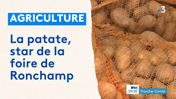 Haute-Saône : la pomme de terre en fête à la foire de Ronchamp