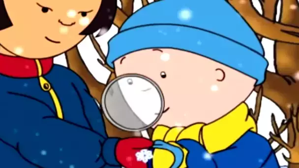 Caillou et les Flocons de Neige | Caillou en Français