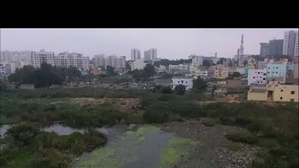 Inde : le combat d'un citoyen pour nettoyer les lacs pollués de Bangalore • FRANCE 24