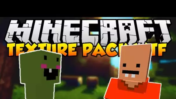 LE TEXTURE PACK MINECRAFT LE PLUS WTF !!