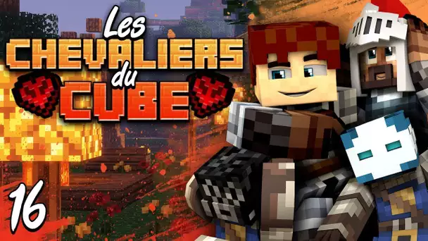 Chevaliers du Cube #16 - On farm l'enderdragon