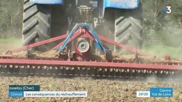 Vasselay : les conséquences du réchauffement climatique dessèche les cultures empêchant les récoltes