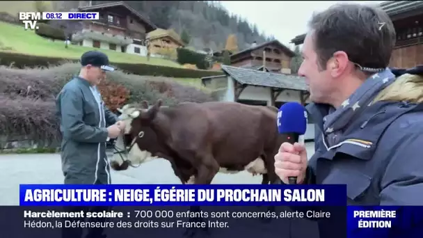 En plein direct, la rencontre (très agitée) avec Neige, prochaine égérie du salon de l'Agriculture