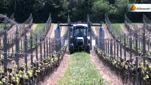 Pesticides : les pulvérisateurs en ligne de mire