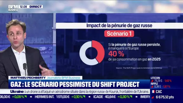 "Si on reste dans une économie de pénurie de gaz russe, ça ne tiendra pas sur la durée"