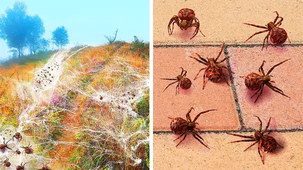 18 Endroits Où La Terre Agit De Façon Mystérieuse