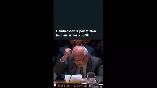 L’ambassadeur palestinien à l’ONU fond en larmes en décrivant la mort d’enfants dans la bande de Gaz