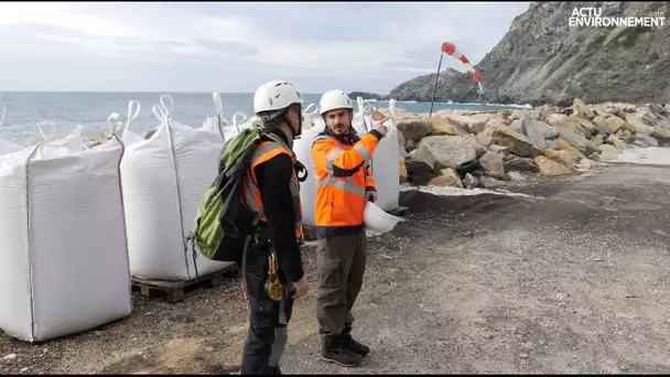 Coordinateur environnement, un métier au cœur de l’actualité