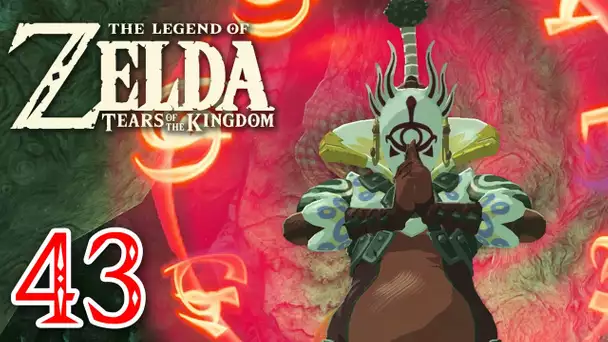 Zelda Tears of the Kingdom #43 | L'arme encestrale