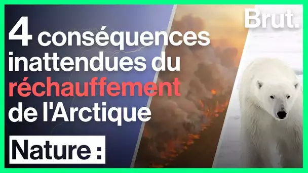 4 conséquences inattendues du réchauffement de l'Arctique