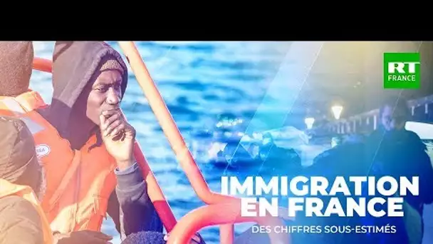 POLITMAG - Immigration en France : des chiffres faux ?