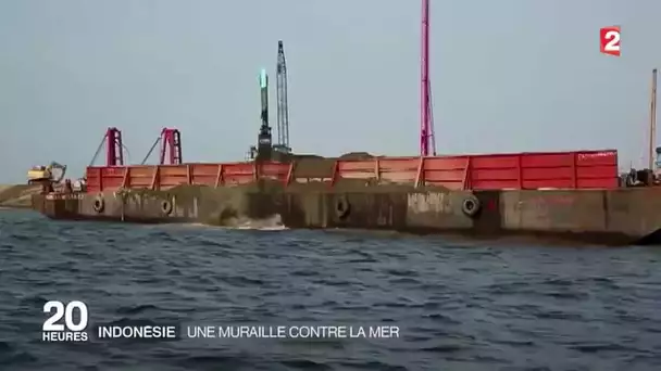 Indonésie : une muraille contre la mer