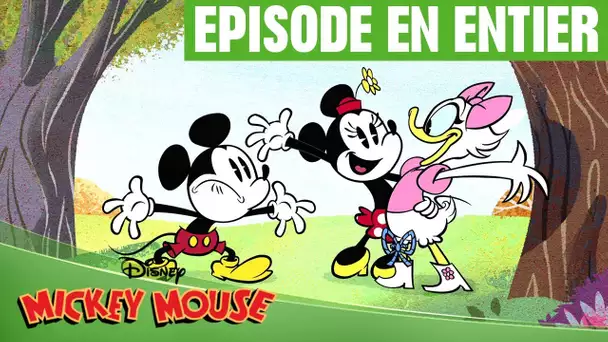 Mickey Mouse - La course à trois pattes
