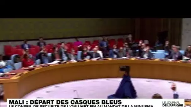 LE CONSEIL DE SÉCURITÉ DE L'ONU MET FIN AU MANDAT DE LA MINUSMA • FRANCE 24