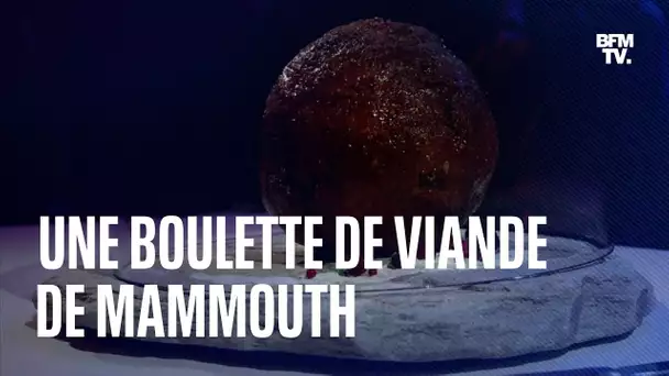 Des scientifiques ont mis au point une boulette de viande…de mammouth
