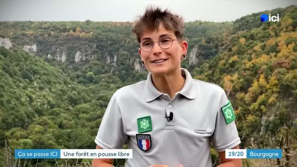 Ça Se Passe Ici - La Combe Lavaux, une forêt en libre évolution