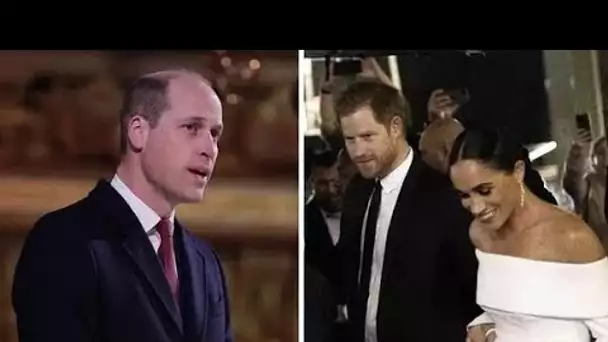 Le prince Harry sera «dur» avec William alors que les frères royaux «pourraient ne jamais se réconci