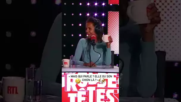 Sébastien Thoen se demande si Marcela Iacub est ventriloque