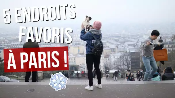 [ Mes 5 endroits favoris ] : PARIS !!
