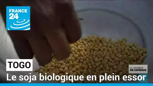 Togo : le soja biologique en plein essor • FRANCE 24
