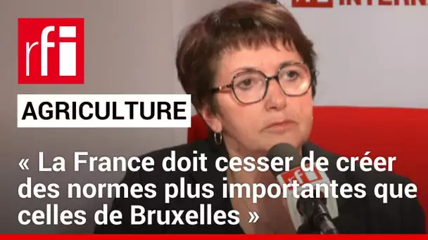 Agriculture: «La France doit cesser de créer des normes plus importantes que celles de Bruxelles»