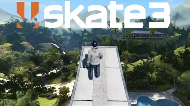 SKATE 3 MEGA JUMP ONLINE !!