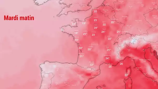 Canicule : il va faire de plus en plus chaud au fil de la semaine en France