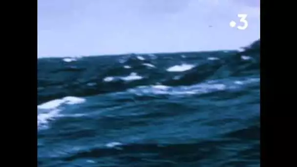 DOCUMENTAIRE. La mer - Bernard Moitessier autour du monde [extrait 3]