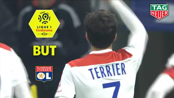 But Martin TERRIER (15') / Olympique Lyonnais - EA Guingamp (2-1)  (OL-EAG)/ 2018-19