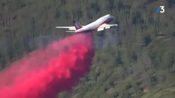 Toulouse : une start-up veut convertir des avions de ligne en bombardiers d'eau anti-incendie