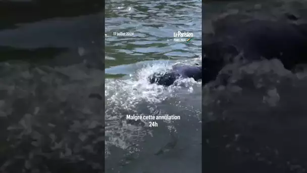 JO Paris 2024 : la Seine est toujours trop polluée à 24h du triathlon
