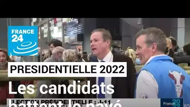 Election présidentielle française : les candidats battent le pavé à 11 jours du premier tour