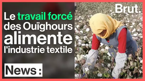 Comment le travail forcé des Ouïghours alimente l'industrie textile mondiale