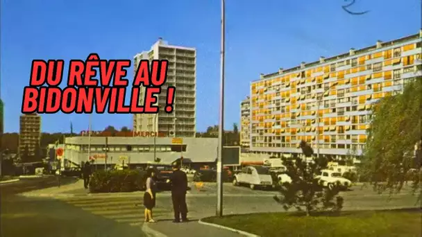 Chène pointu : La cité-bidonville