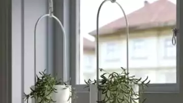 Ikea : ces nouvelles plantes artificielles donnent vie à votre intérieur !